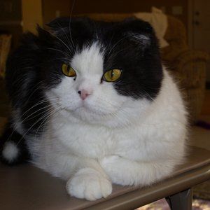 Meet your Posher, Nancy